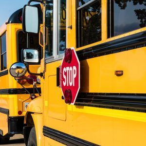 yellow school buses lined up