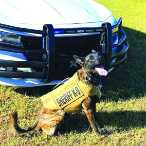 Photo of K9 Fievel sitting in front of police vehicle