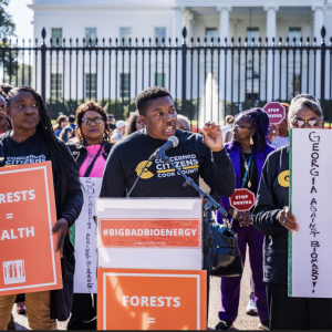 Local citizens join protest at White House against biomass energy