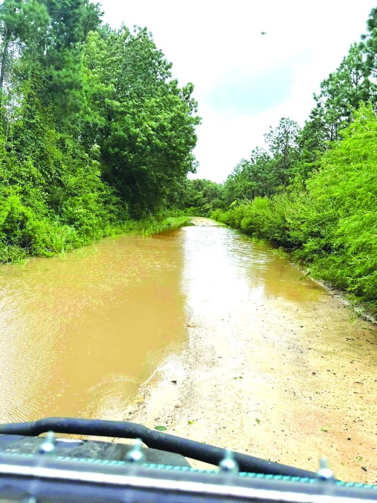 An image of Lovett Circle, a dirt road with water covering the surface of the road. 