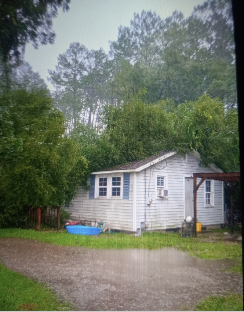 Two fallen trees lay on top of a gray-ish house with blue shutters. There is water pooling in the yard and raindrops reflecting off the surface of the water. 